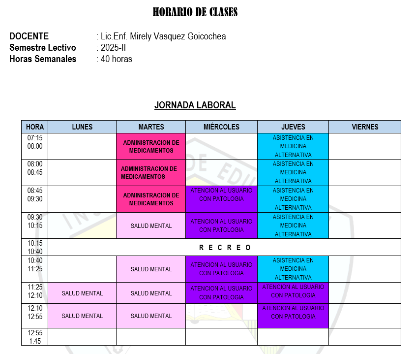 Mirely Vasquez Goicochea